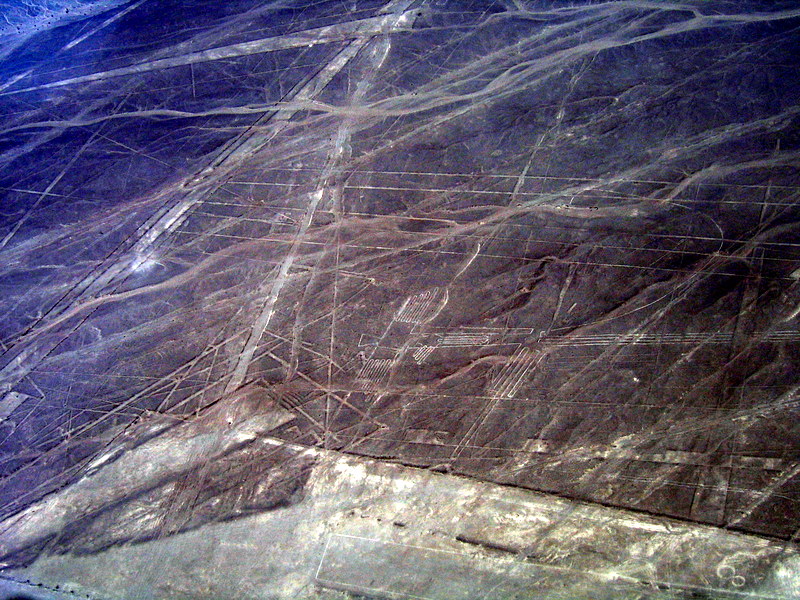 IMG_4003.JPG  Les lignes de Nazca