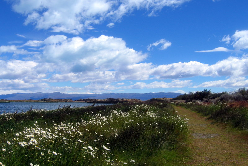 IMG_4406.JPG  El Calafate