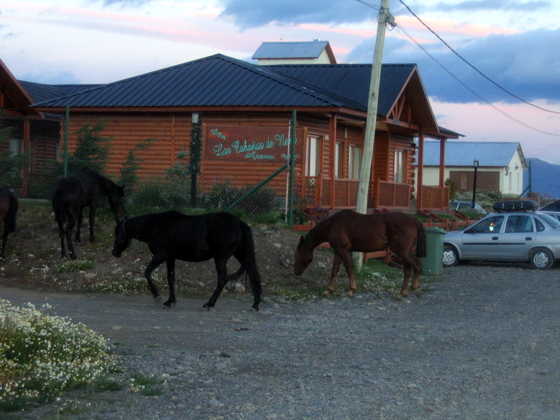 IMG_4413.JPG El Calafate