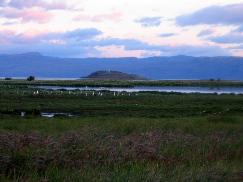 IMG_4418.JPG  El Calafate
