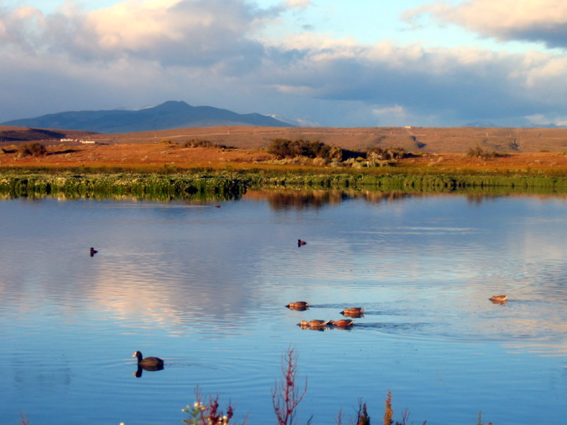 IMG_4427.JPG  El Calafate