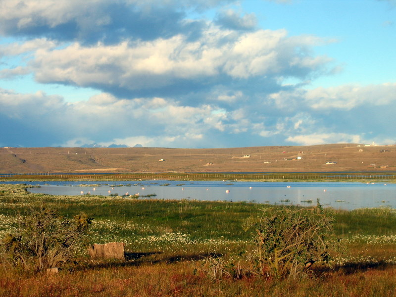 IMG_4430.JPG El Calafate