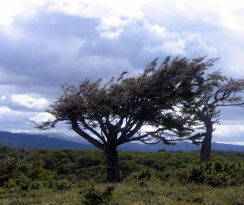 IMG_4441.JPG  Ushuaia