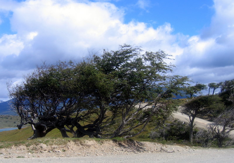 IMG_4442.JPG  Ushuaia