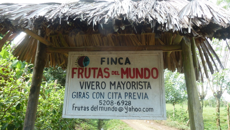 Finca Frutas del Mundo