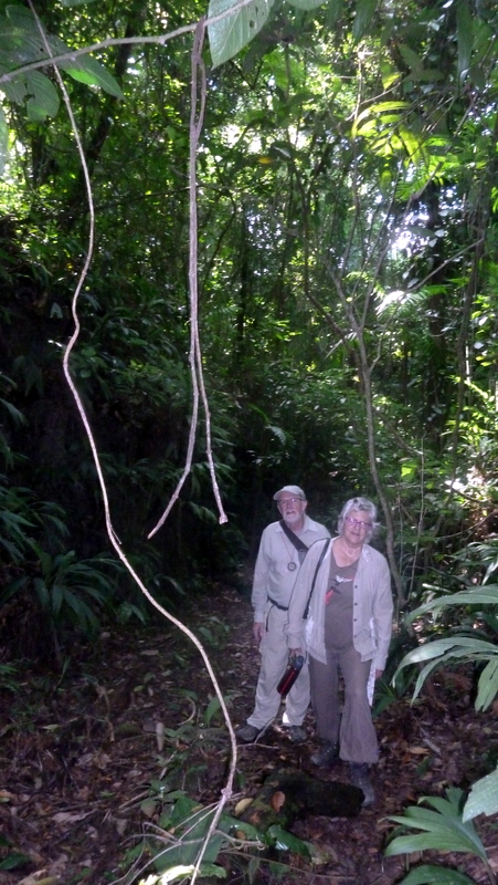 Laurent et Marie-Andre