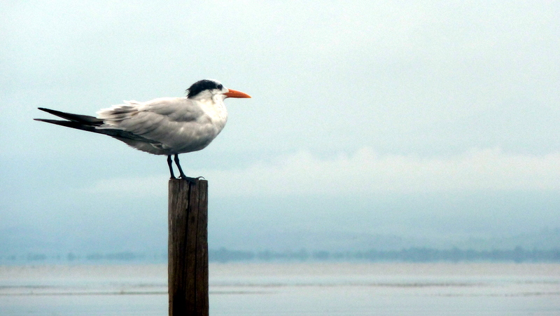 P1020139.JPG