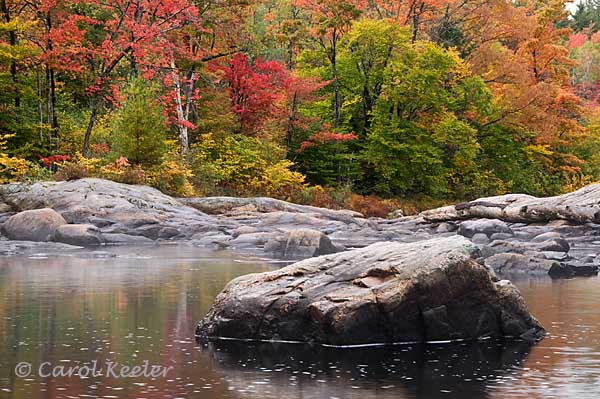 Moose River Color