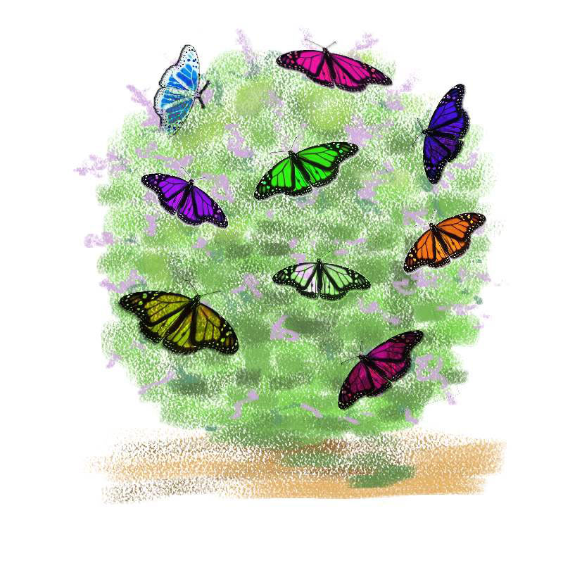 butterfly-bush-1.jpg