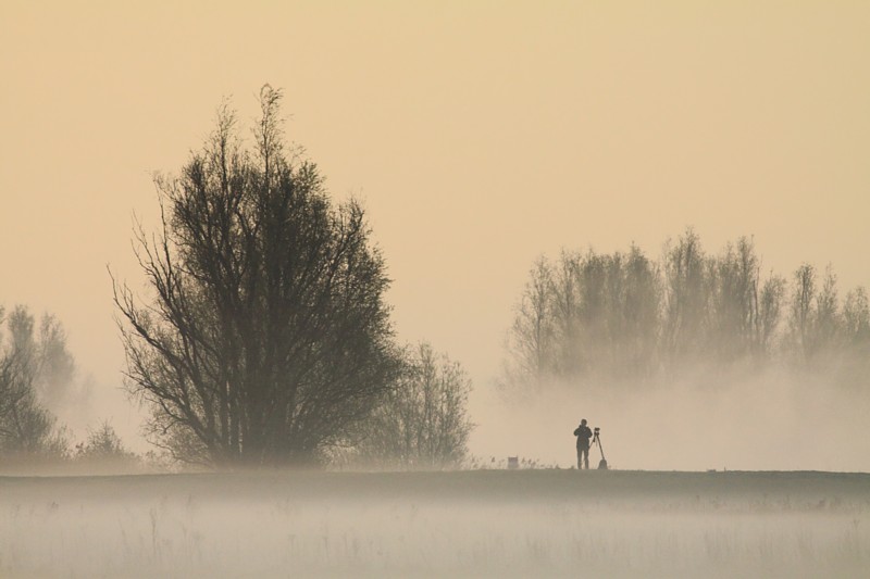 Inventariseren in Sliedrechtse Biesbosch