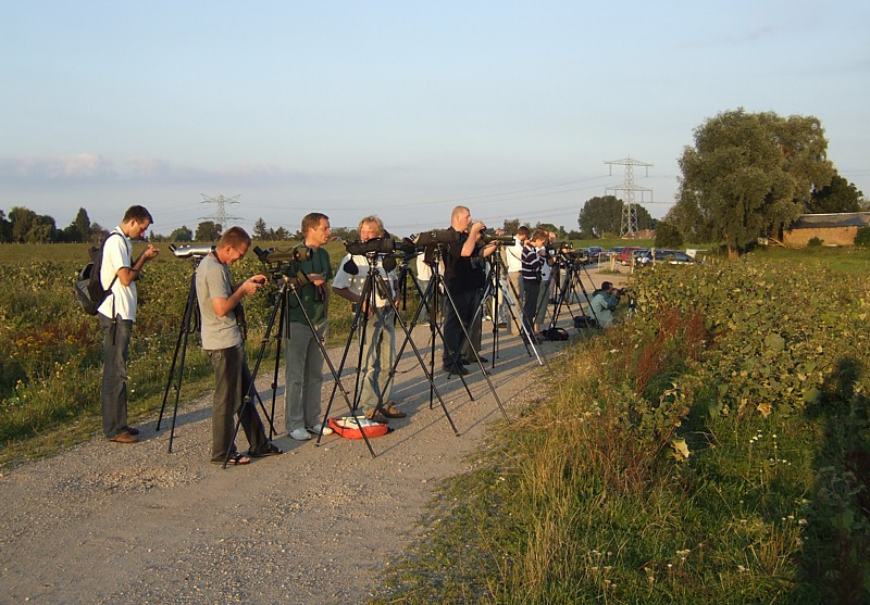 Vogelaars bij Lachmeeuw