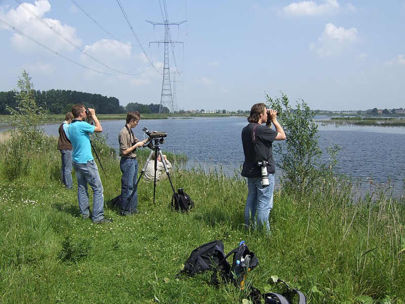 Ontdekking Witwangsterns
