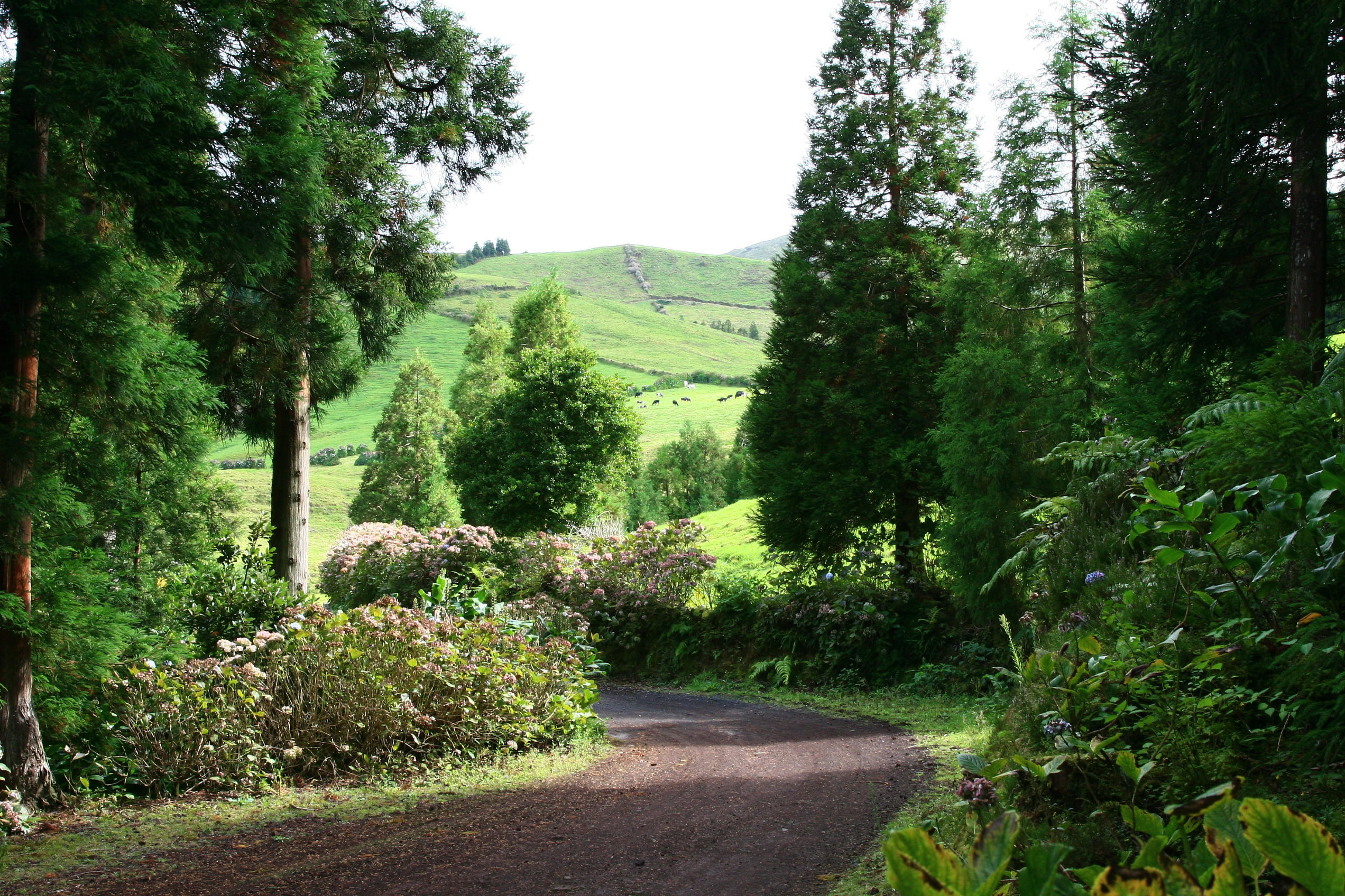 A delightful walk