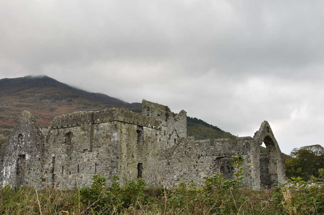 Old abbey, Carlingford/