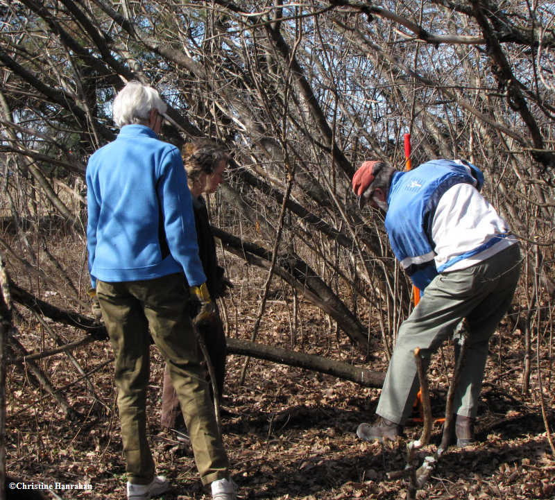 Volunteers at work