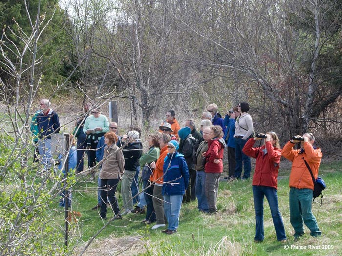 Walk at the Fletcher Wildlife Garden