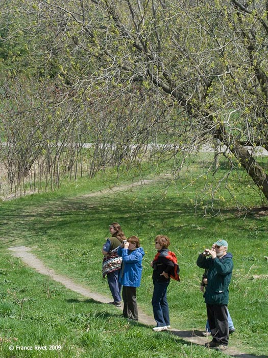 Walk at the Fletcher Wildlife Garden