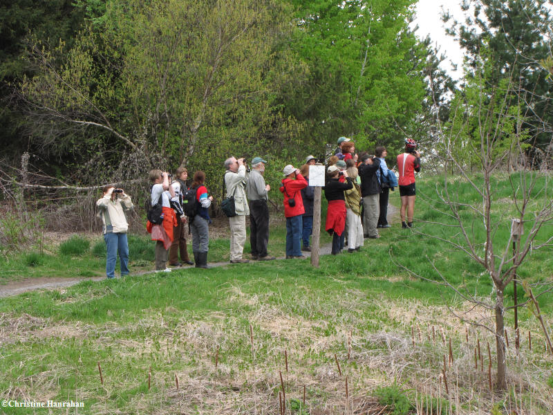 International Migratory Bird Day 2009