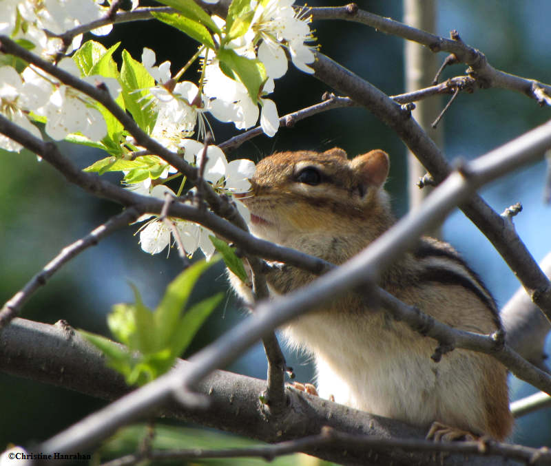 Stop and smell the flowers