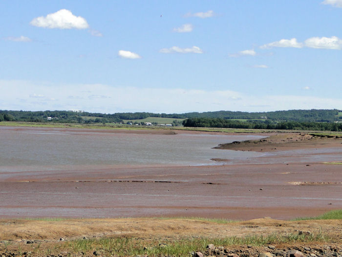 Minas Basin at low tide