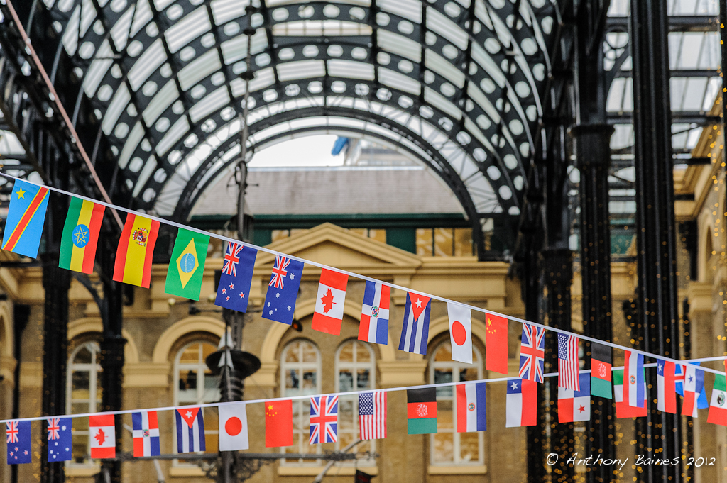 Flags of the World at Hays Galleria