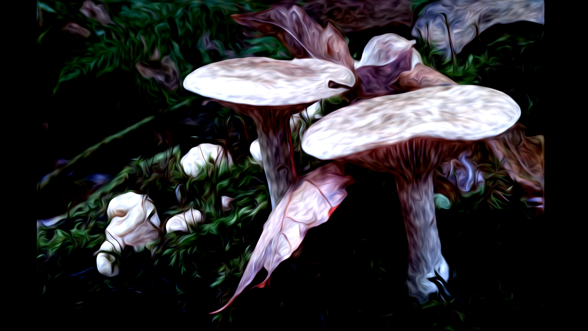 two mushrooms.jpg