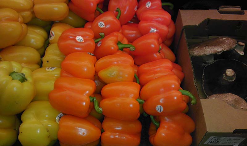 Colorful Peppers