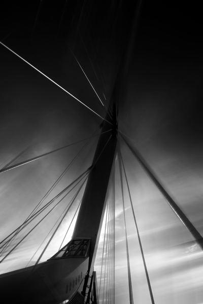Image_2648.jpg