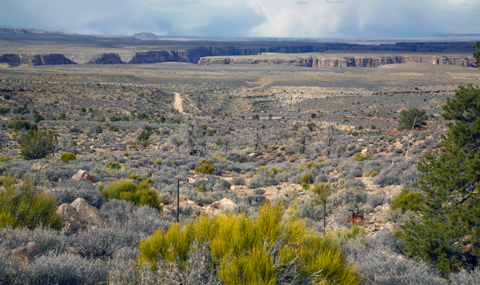 An Endless Landscape- Arizona