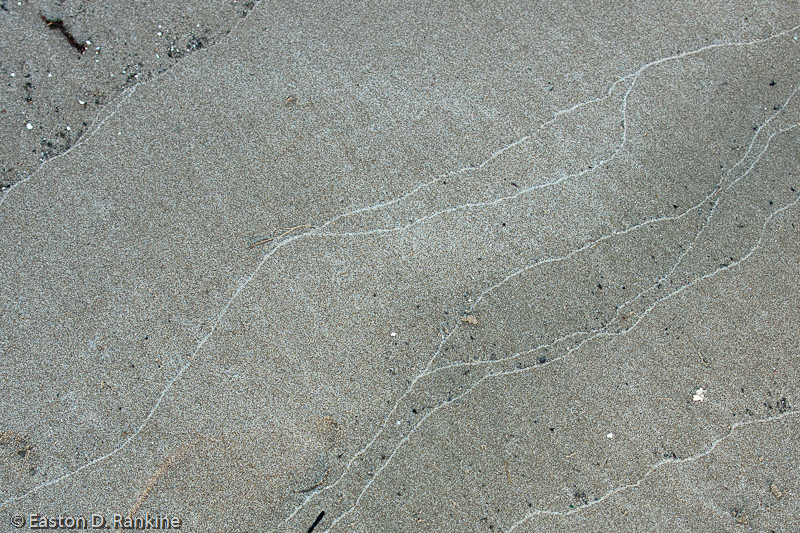 Wave Jottings