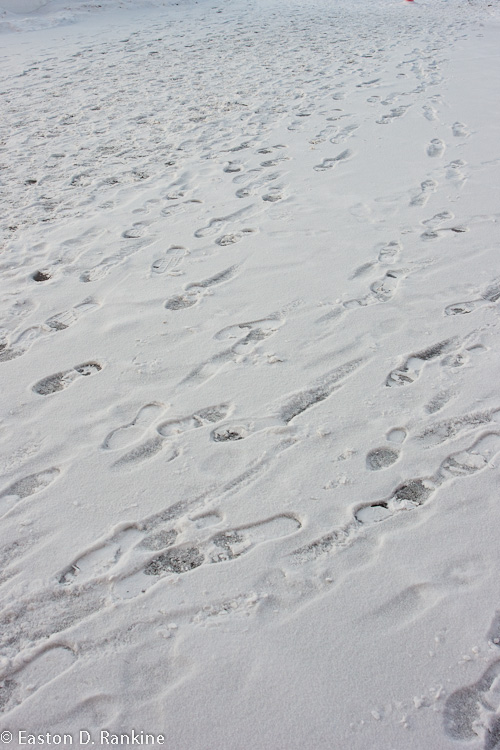 Path Oft Taken