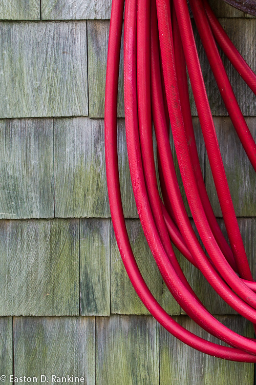Hose