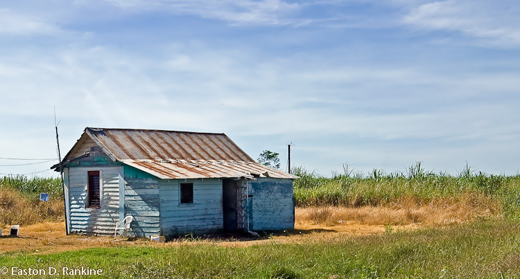 Domicile - ST Catherine.jpg