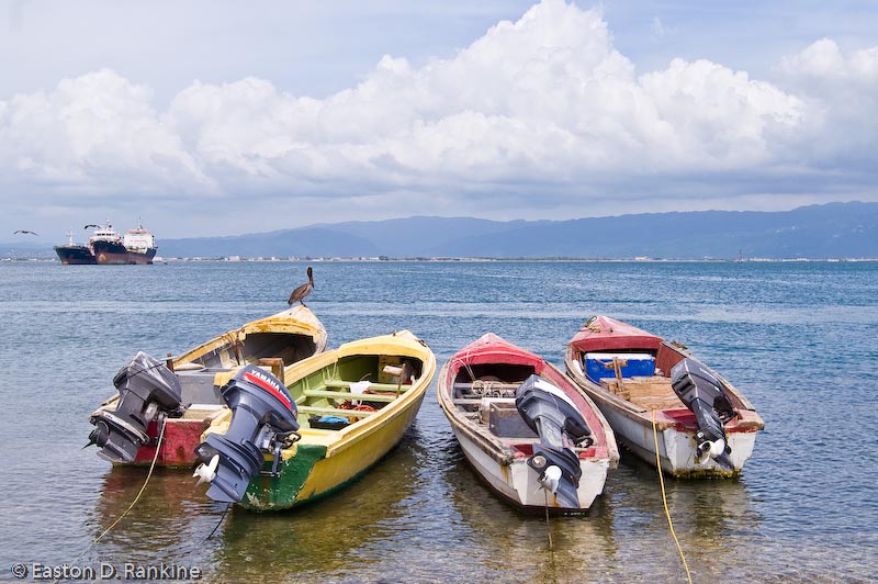 Toward the Harbour, Port Royal