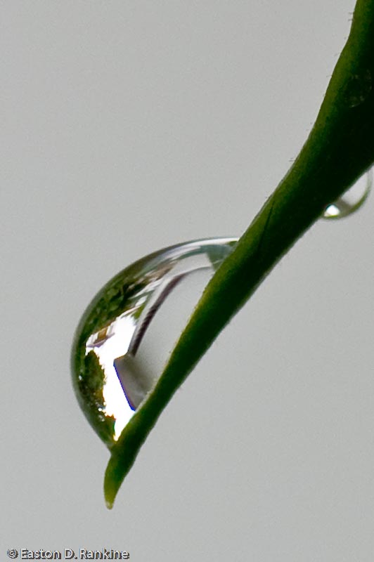 Drop