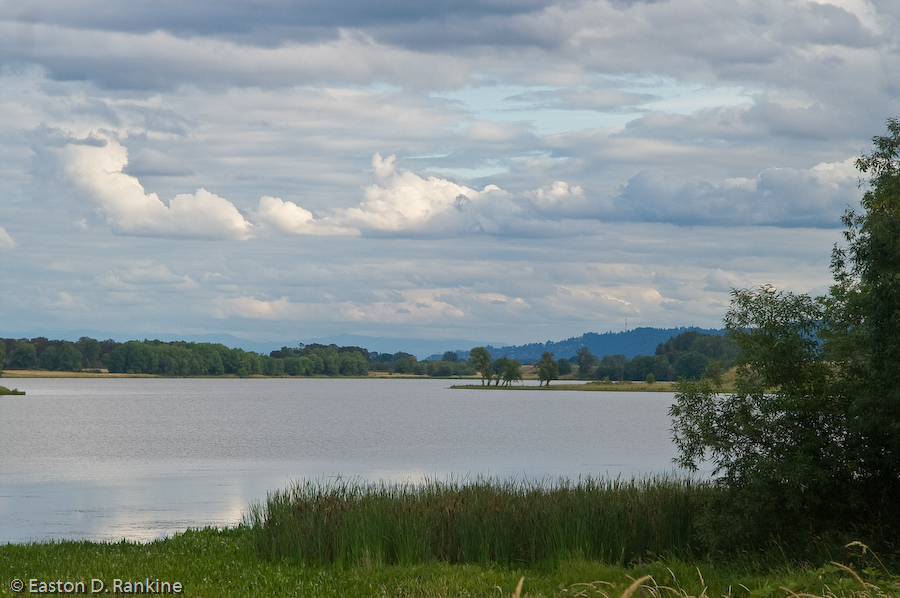Untitled, Sauvie Island