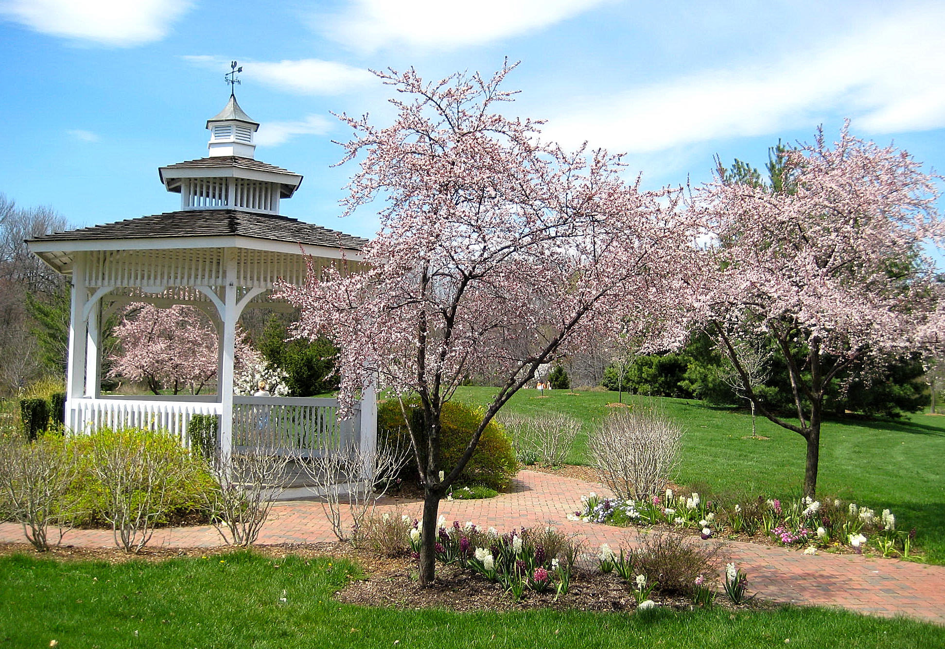 Sayen Gazebo