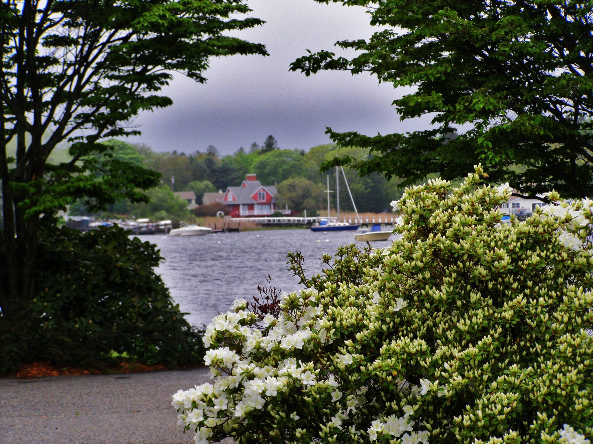 View of North Cove Through The Front Yard