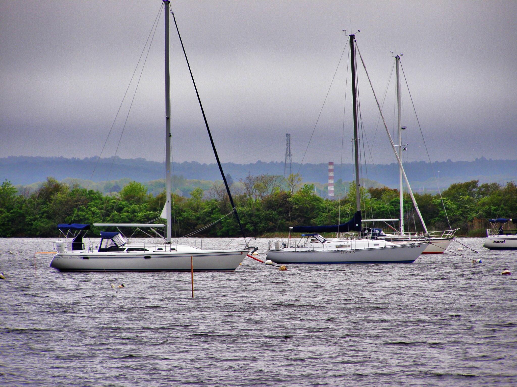 Typical Yachts Anchored In The Cove.