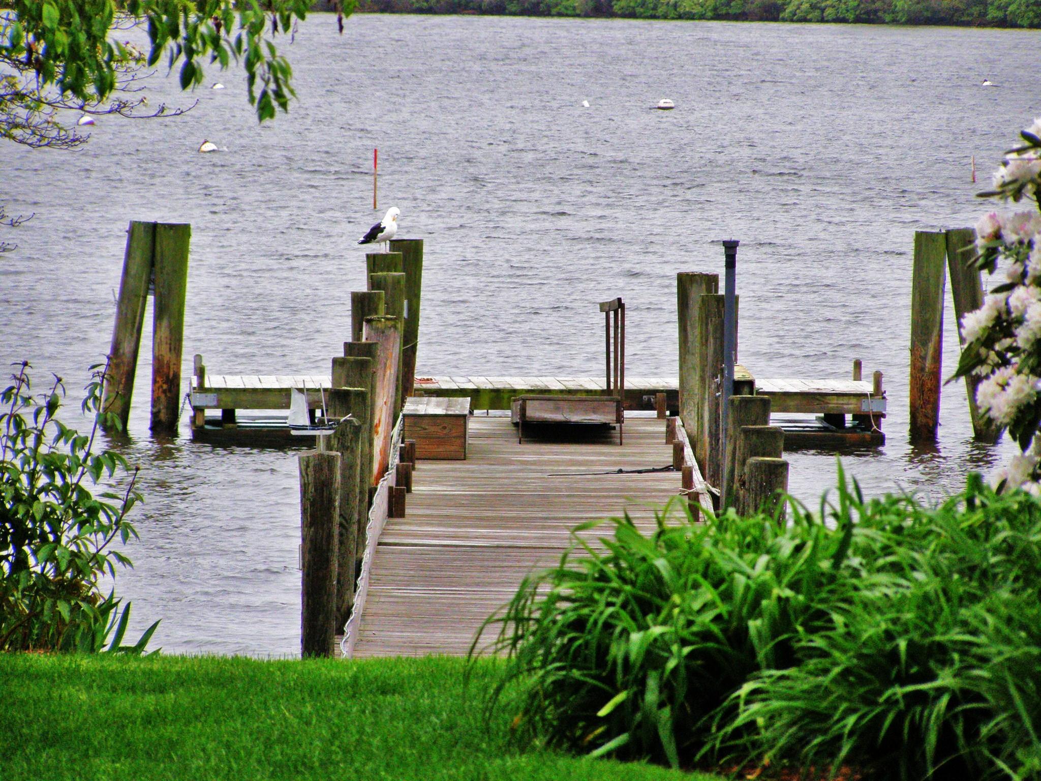 Private Dock