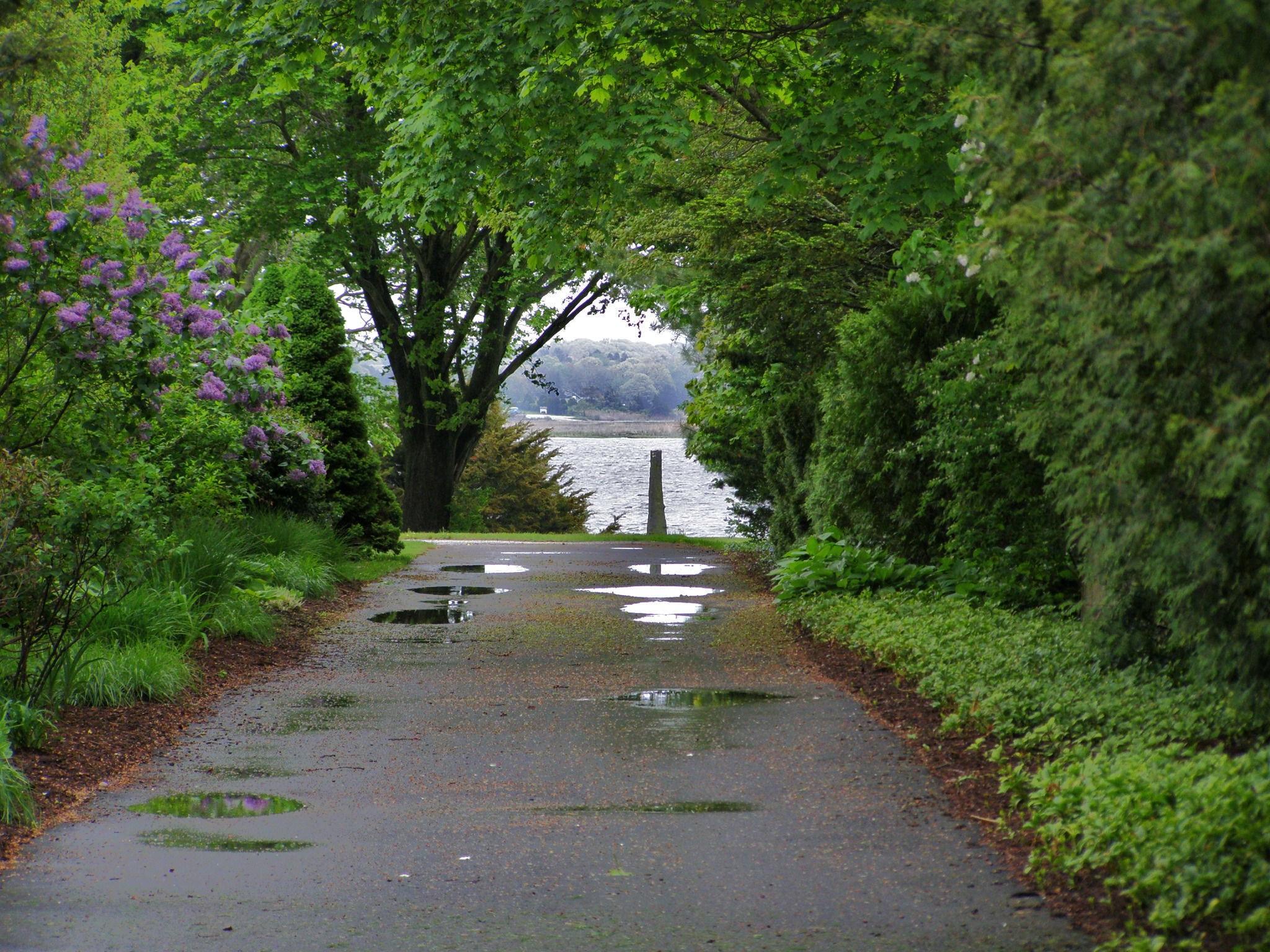 Path Way To The River