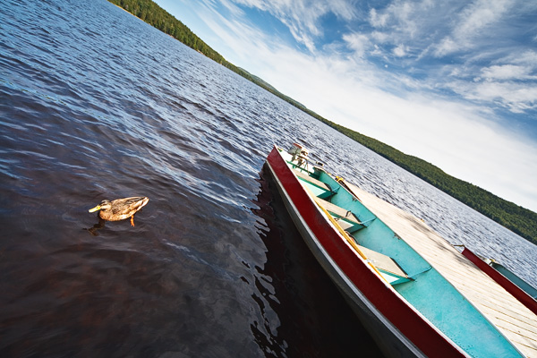 2T1U6383.jpg - Algonquin Provincial Park, ON, Canada