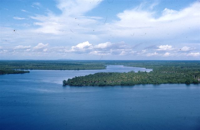 77.Bougainville.jpg