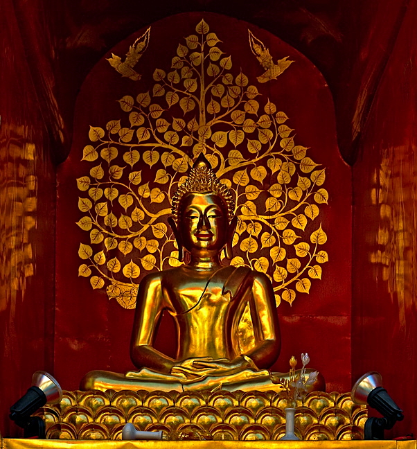 Buddha image with tree and angels