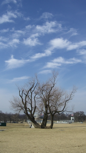 CIMG6339.resized.JPG
