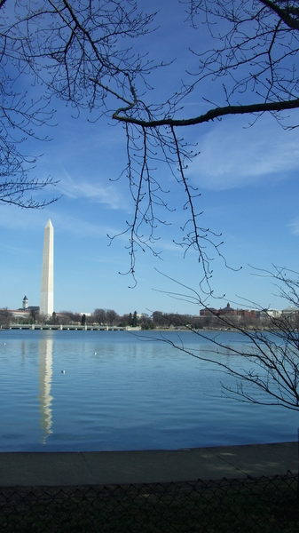 CIMG6555.resized.JPG