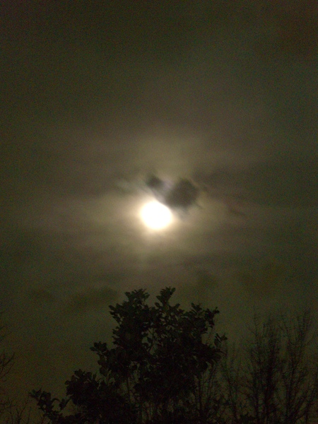CIMG6701.resized.JPG