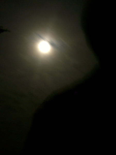 CIMG6715.resized.JPG