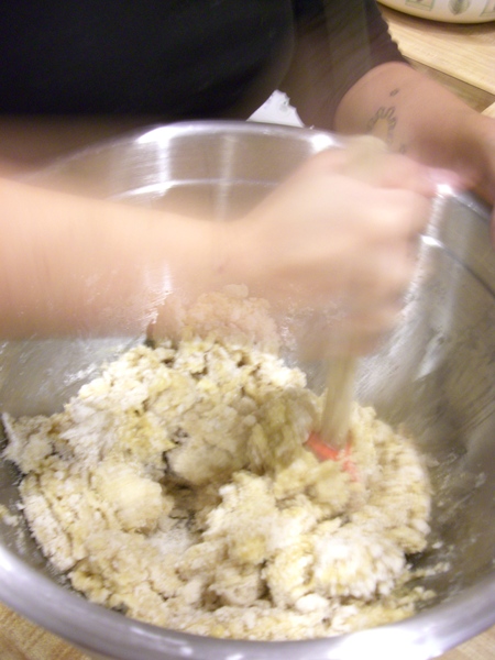 CIMG6191.resized.JPG