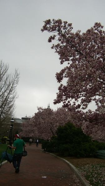 CIMG6980.resized.JPG